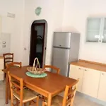 Panettieri 44